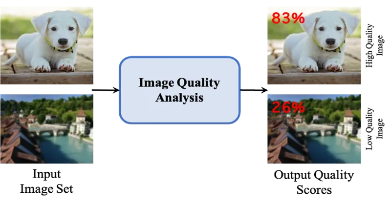 Quality Visual Image Center for Visual Intelligence (CEVI)